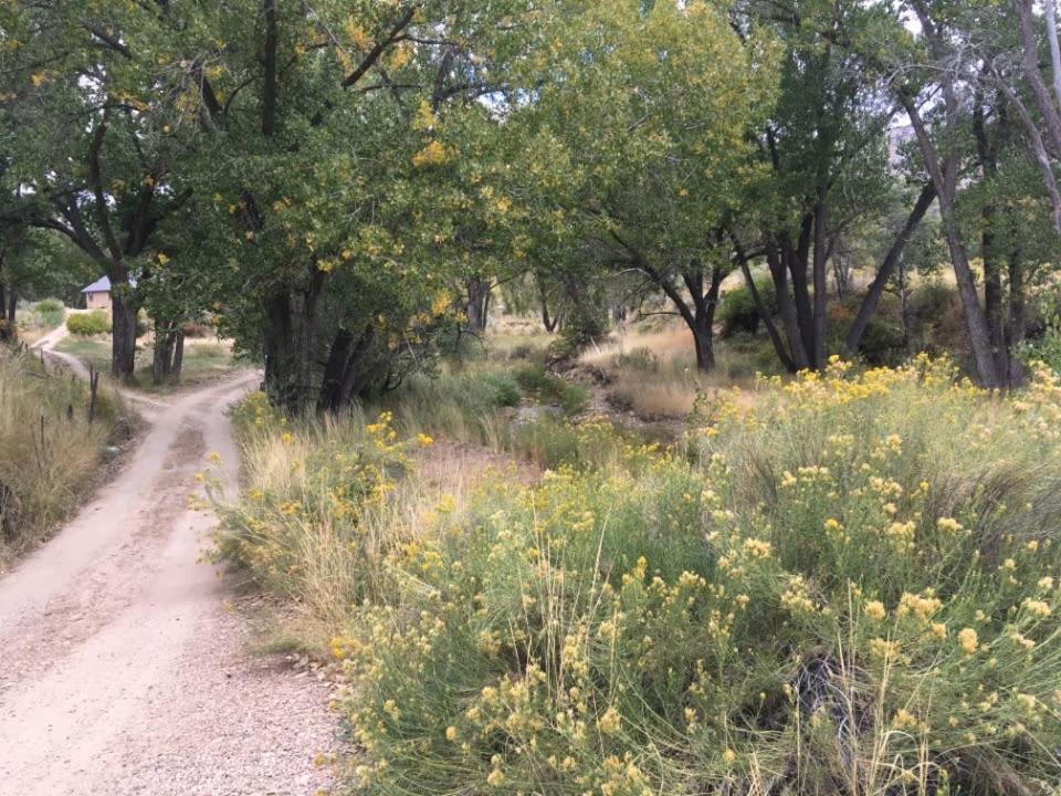 Pinyon Ridge Ranch Near Zion Np Hot Tub Pets Ok Orderville Exterior photo